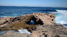 Rottnest Island, Western Australia